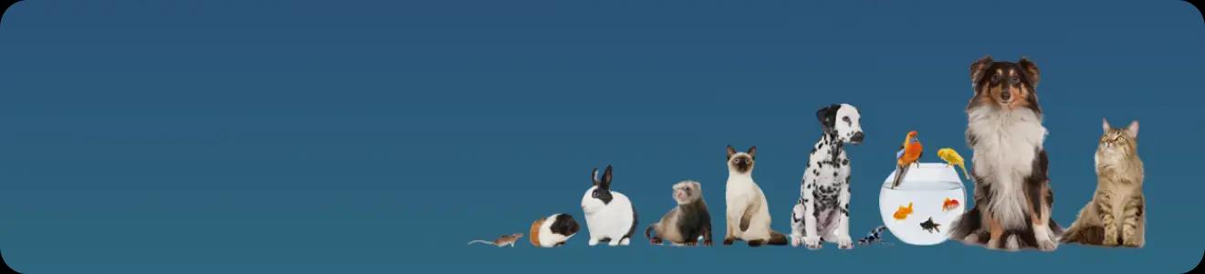 Blog Header Bg Image